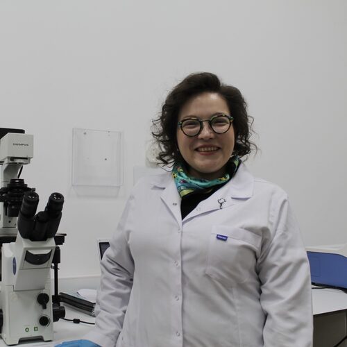 Danışman Hoca